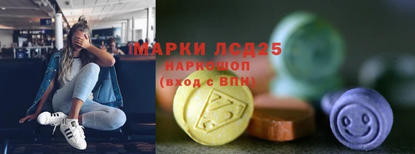 стаф Баксан