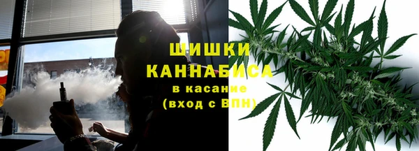 твердый Арсеньев