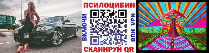 Псилоцибиновые грибы прущие грибы Никольское