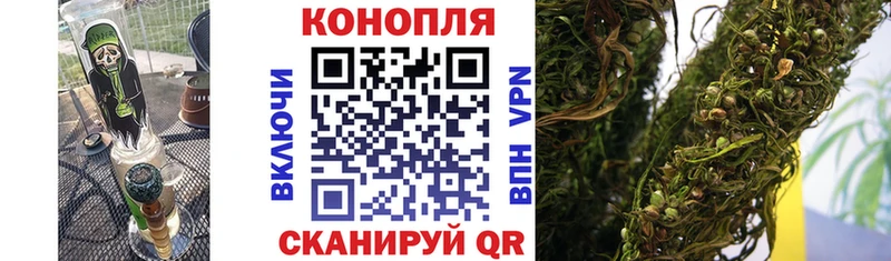 Бошки Шишки ГИДРОПОН  купить  сайты  Никольское 